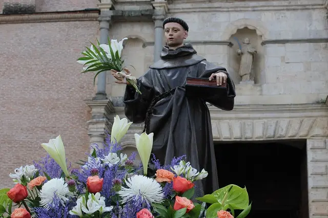 Procesi&oacute;n de San Antonio, patr&oacute;n de Medina del Campo | Valladolid Plural