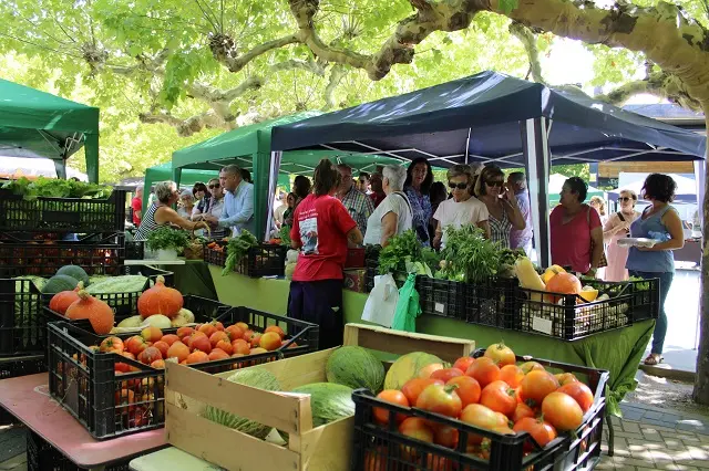 Inauguraci&oacute;n de la Feria del Tomate de Tudela de Duero | Valladolid Plural