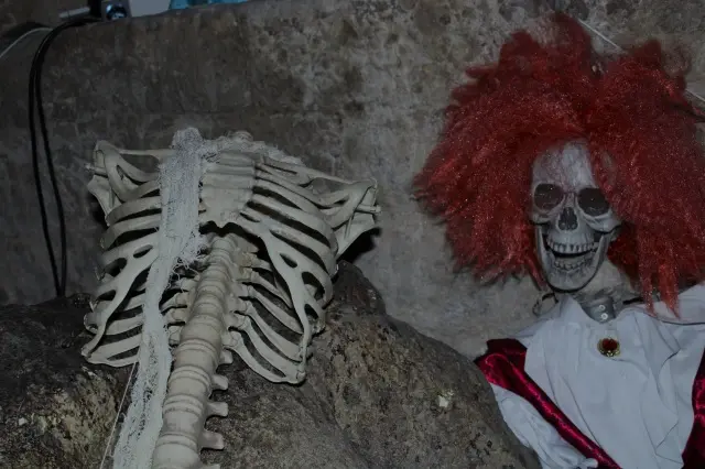 Esqueletos en el Castillo Encantado de Trigueros | Valladolid Plural