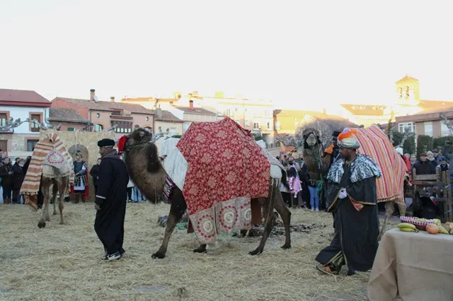 Llegada de los Reyes Magos y sus camellos al Bel&eacute;n de Zarat&aacute;n | Valladolid Plural