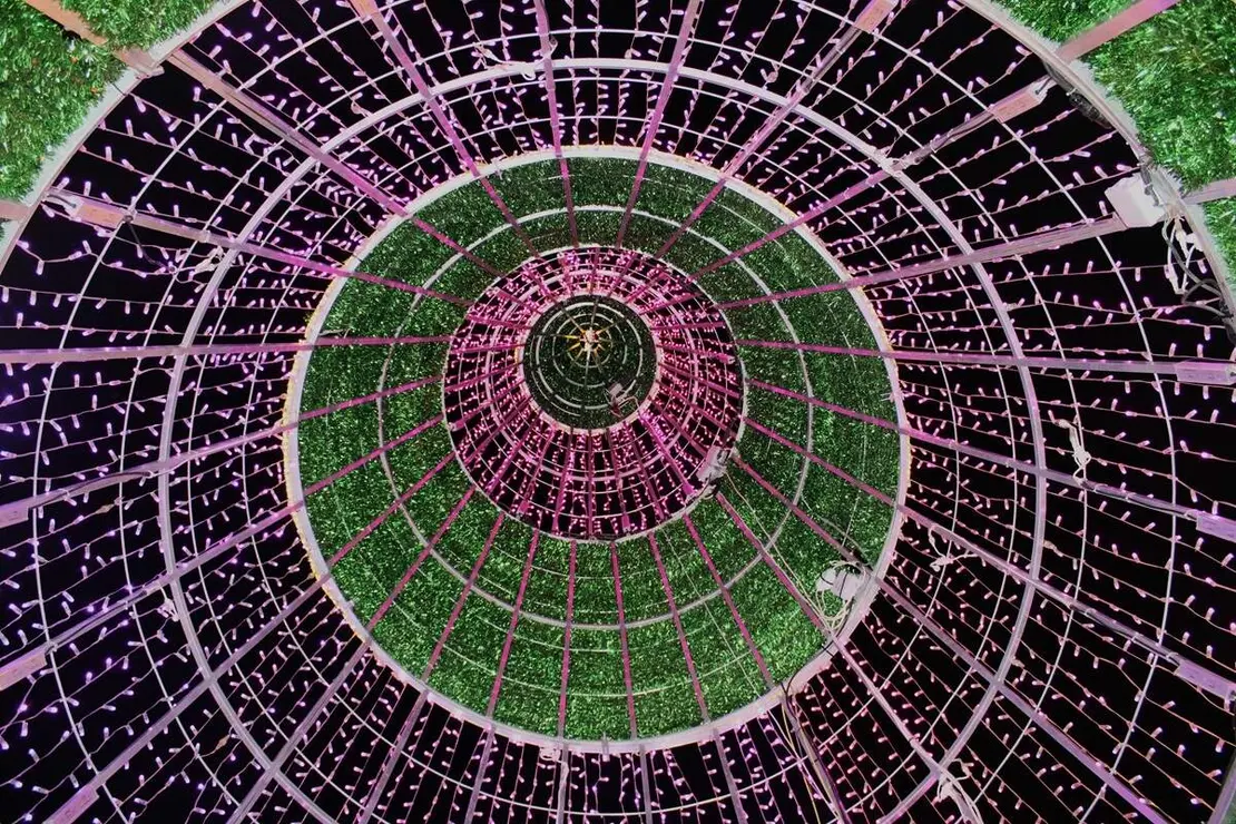 Encendido luces y arbol de Navidad La Cisterniga 2025 (9)