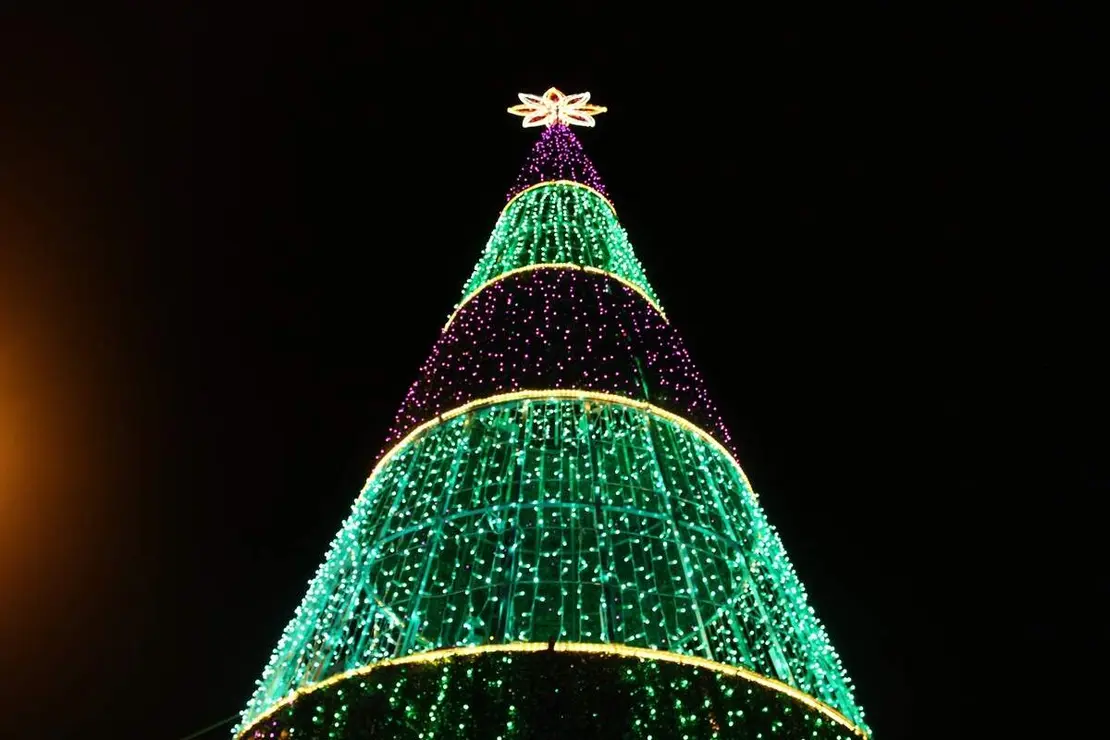 Encendido luces y arbol de Navidad La Cisterniga 2025 (11)