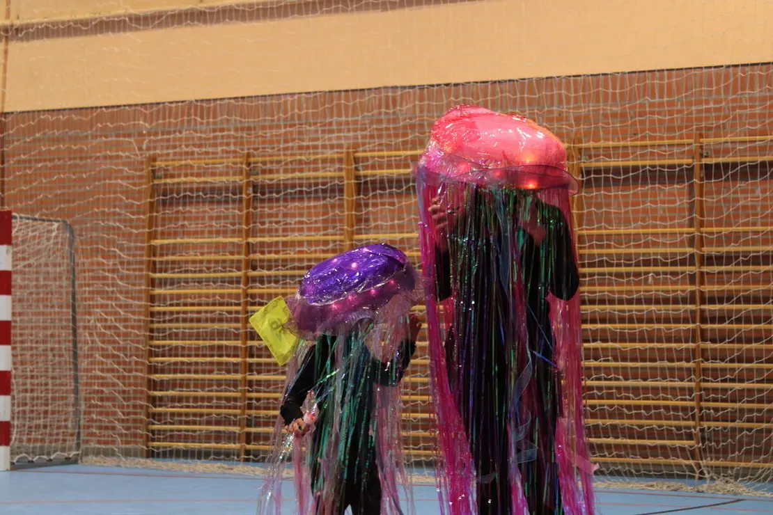 Concurso de disfraces de Carnaval de Portillo 2026 (11)