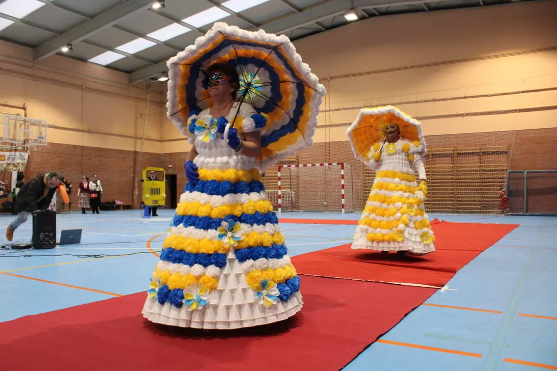 Concurso de disfraces de Carnaval de Portillo 2026 (12)