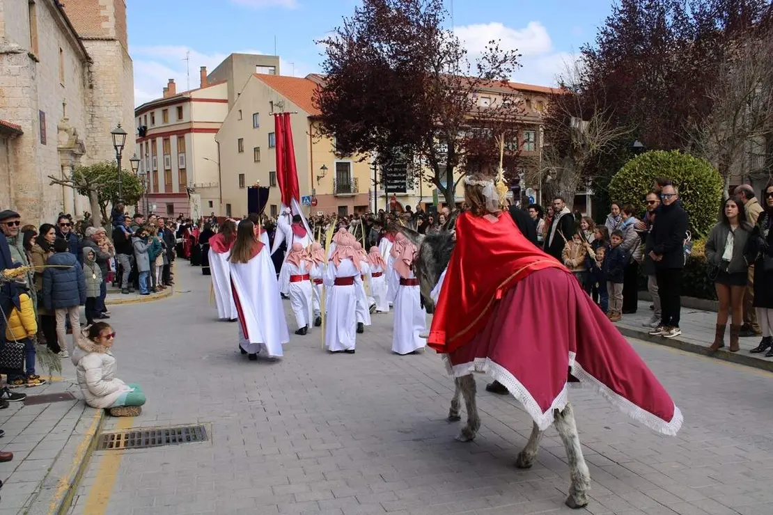 Procesion La Borriquilla y Pregon Semana Santa Penafiel 2026 (8)