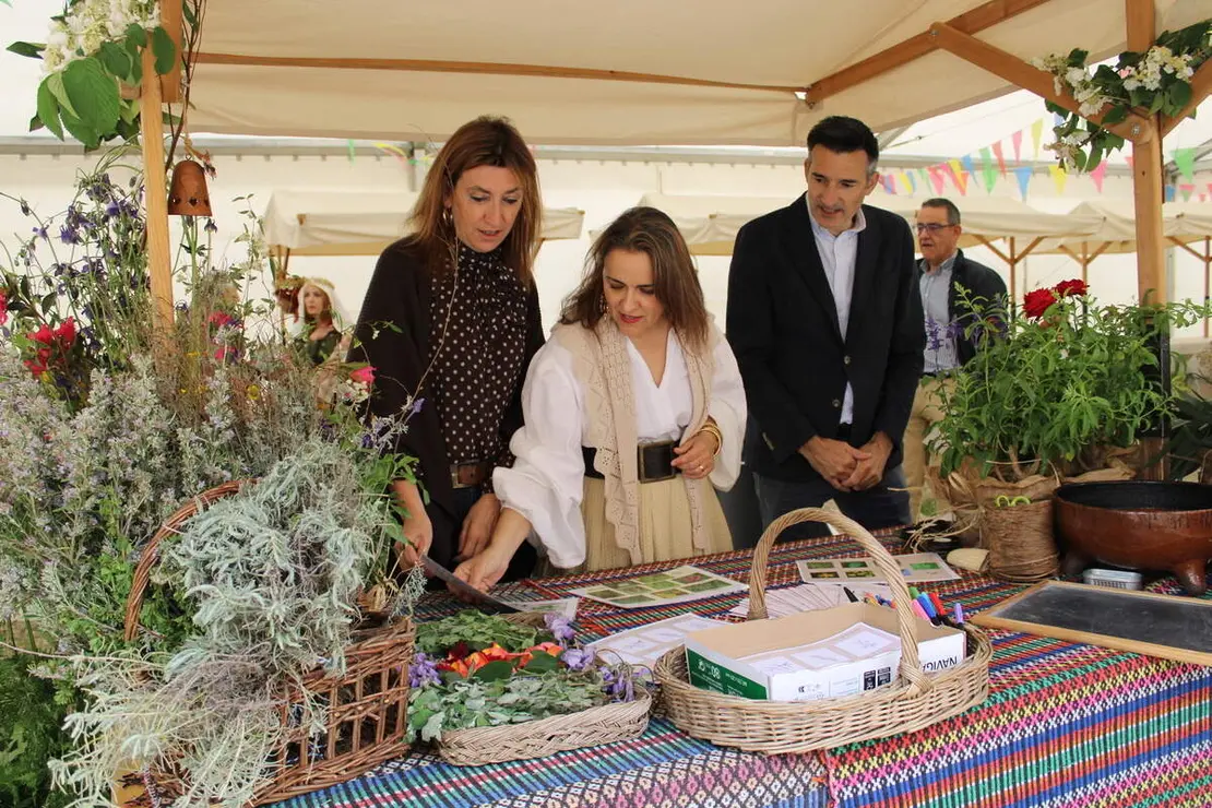 Celebracion II Festival Medieval y visita al Castillo de Fuensaldana 2026 (6)