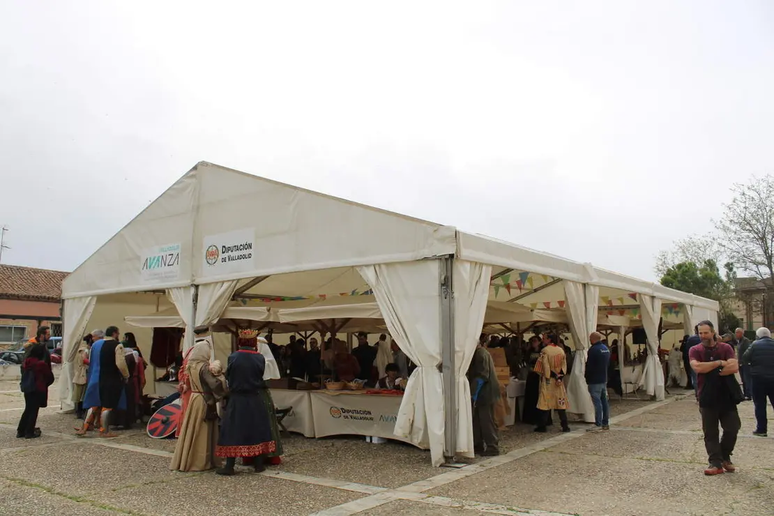 Celebracion II Festival Medieval y visita al Castillo de Fuensaldana 2026 (7)