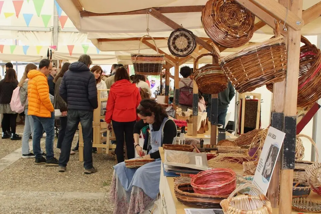 Celebracion II Festival Medieval y visita al Castillo de Fuensaldana 2026 (8)