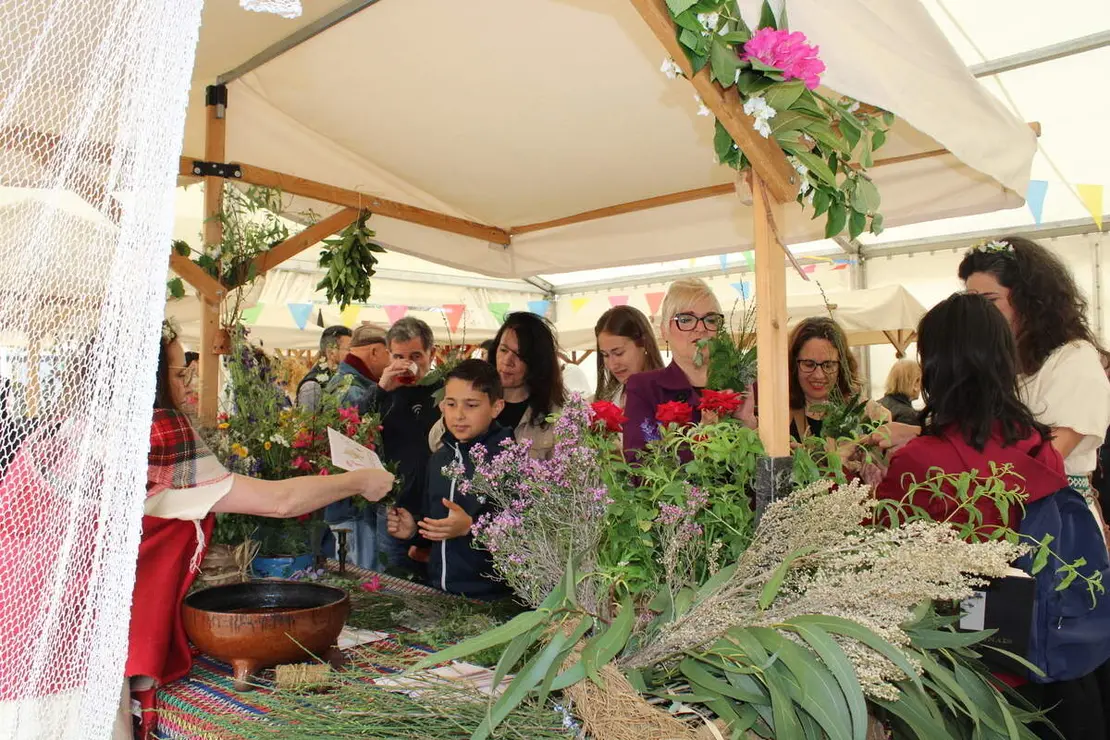 Celebracion II Festival Medieval y visita al Castillo de Fuensaldana 2026 (11)