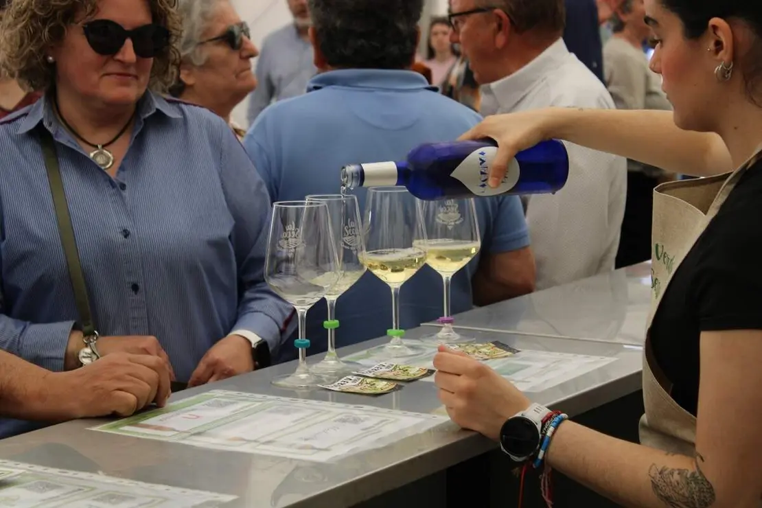 Fiesta del Verdejo y Feria del Vino de La Seca 2026 (2)