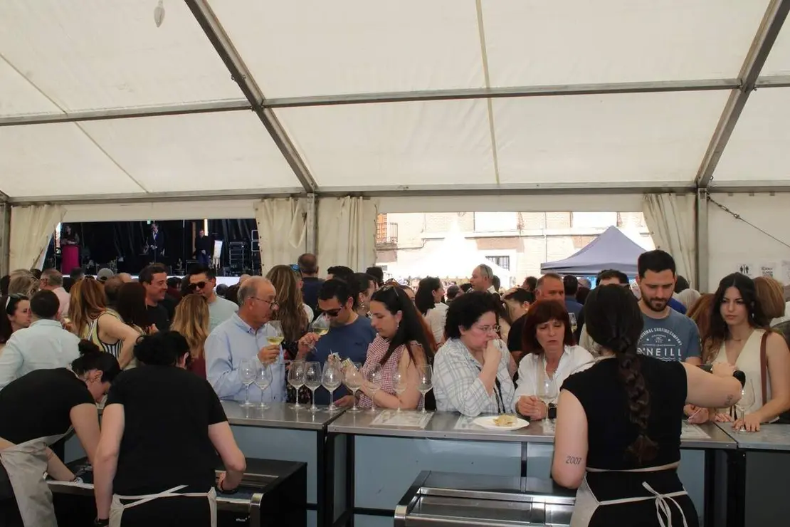 Fiesta del Verdejo y Feria del Vino de La Seca 2026 (9)
