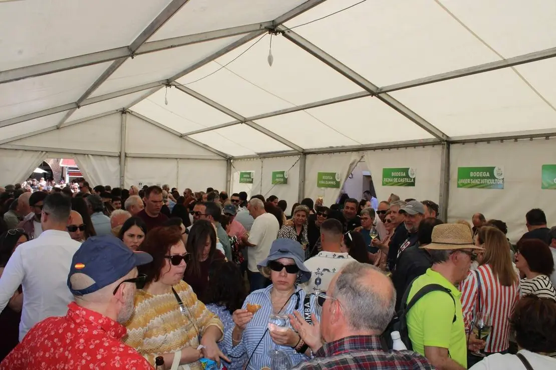 Fiesta del Verdejo y Feria del Vino de La Seca 2026 (11)