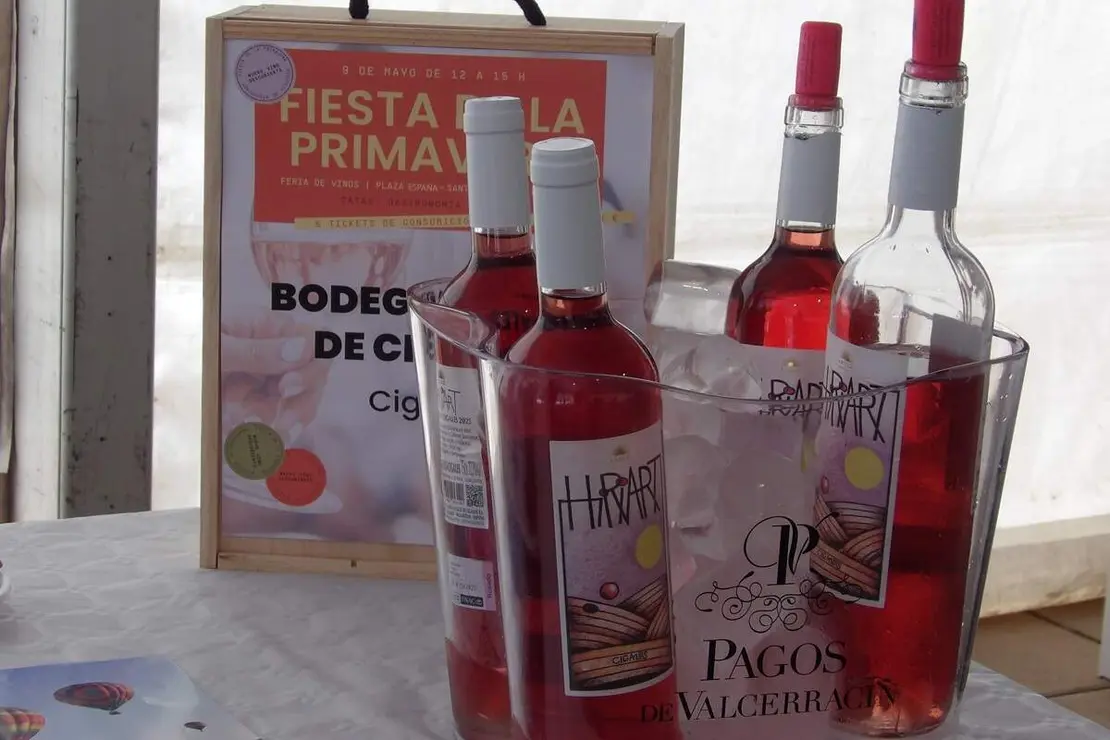 Celebracion Fiesta de la Primavera vinos y folclore Santovenia de Pisuerga 2026 (1)
