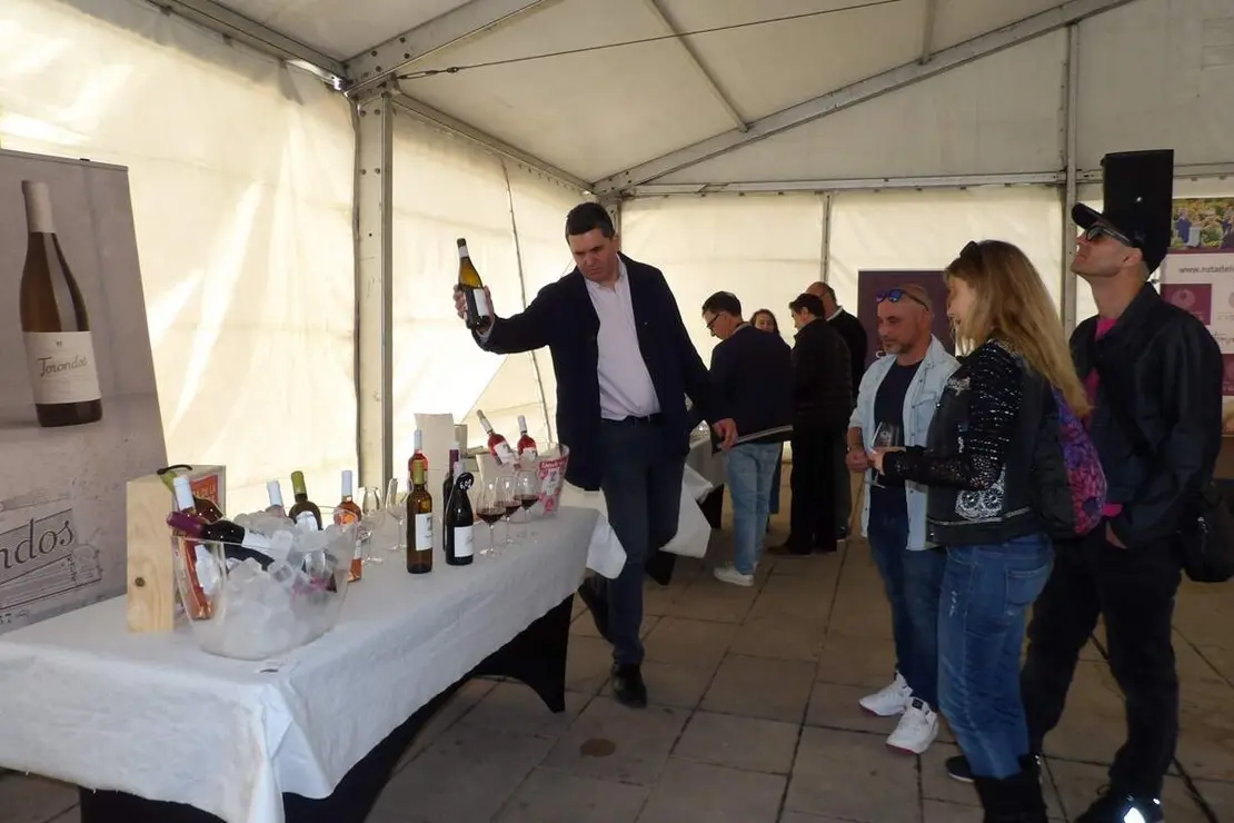 Celebracion Fiesta de la Primavera vinos y folclore Santovenia de Pisuerga 2026 (3)