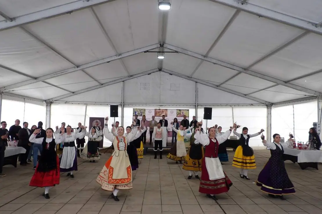 Celebracion Fiesta de la Primavera vinos y folclore Santovenia de Pisuerga 2026 (5)