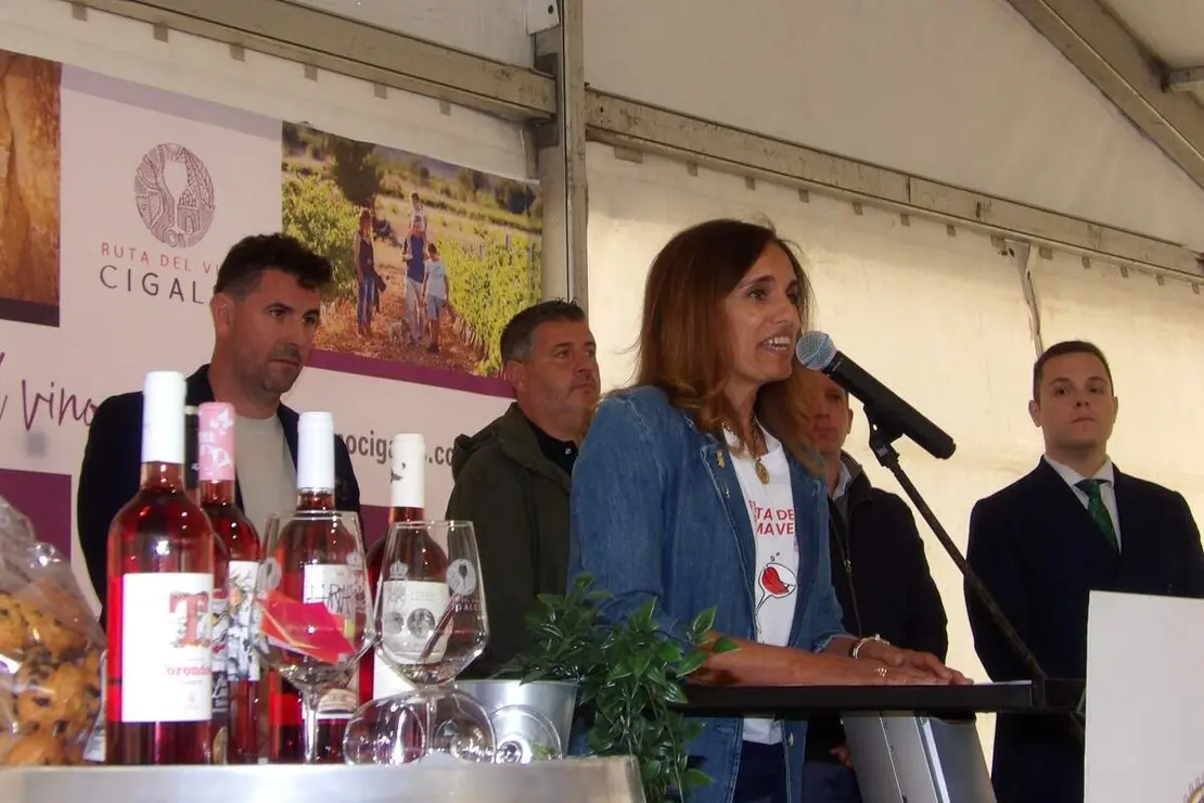 Celebracion Fiesta de la Primavera vinos y folclore Santovenia de Pisuerga 2026 (8)