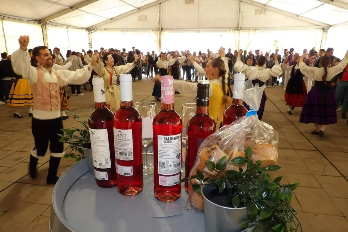 Celebracion Fiesta de la Primavera vinos y folclore Santovenia de Pisuerga 2026 (17)