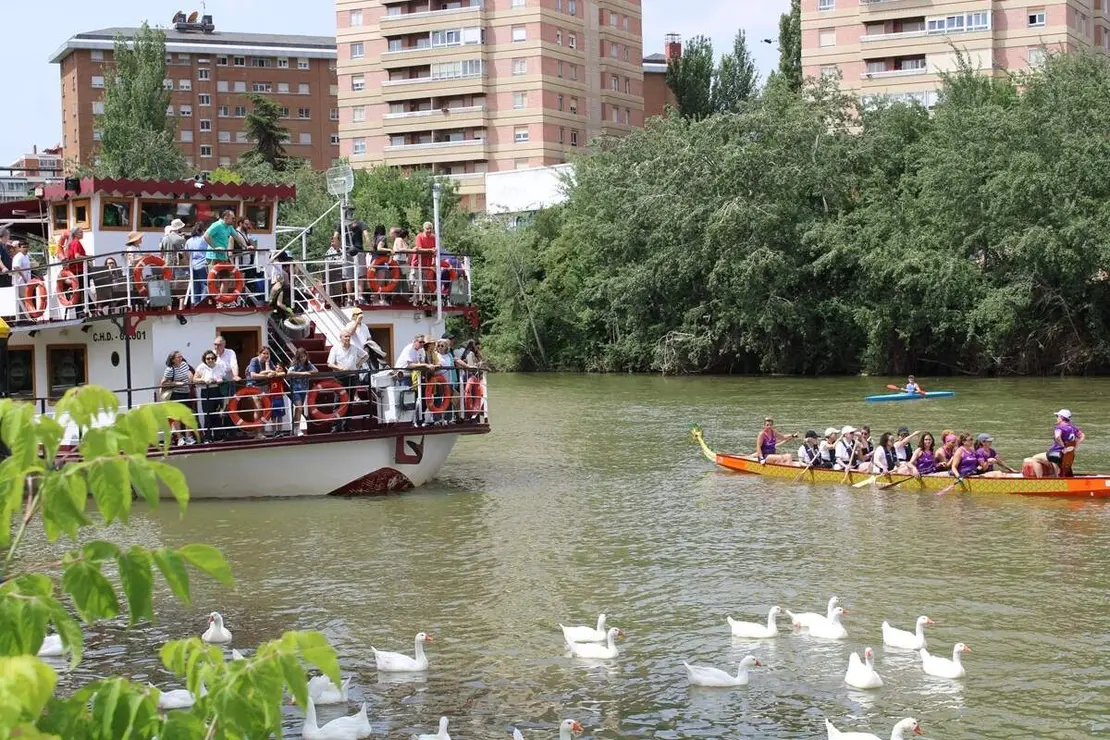 Festival Lasamoa Moreras rio Pisuerga Valladolid 2026 (1)
