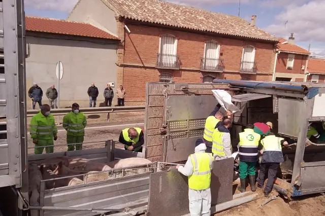 Fuente: Bomberos Diputaci&oacute;n de Valladolid