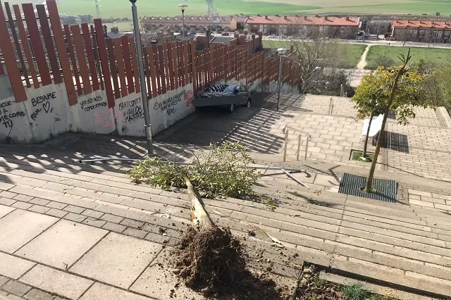 Fuente: Polic&iacute;a Municipal de Valladolid