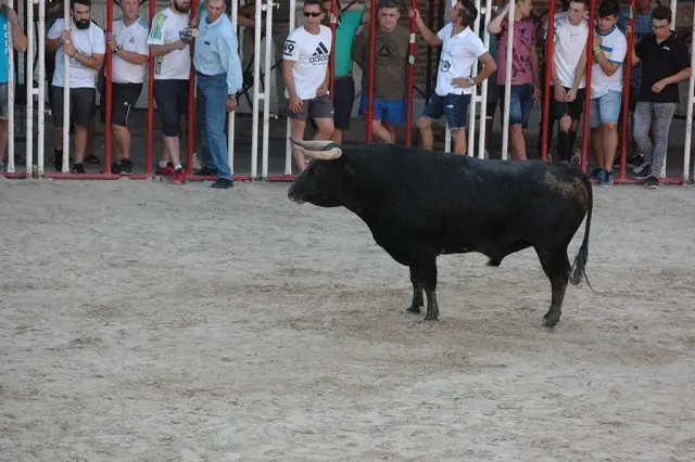 Foto archivo | Fuente: Sentir Taurino