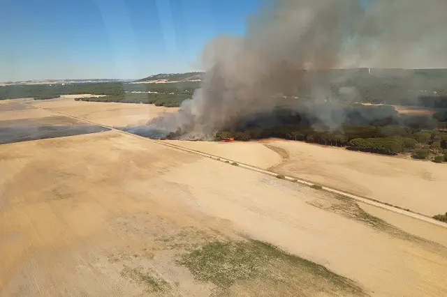 Fuente: Junta de Castilla y Le&oacute;n
