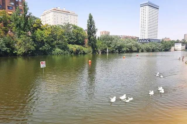 Playa de las Moreras | Valladolid Plural