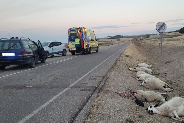 Fuente: Bomberos Diputaci&oacute;n de Valladolid