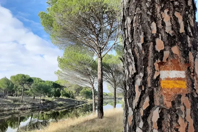 Fuente: Ayuntamiento de &Iacute;scar