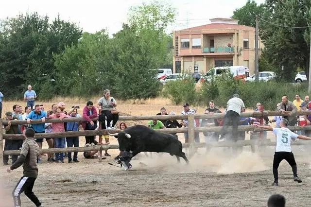 Fuente: Plaza de Toros de Tordesillas