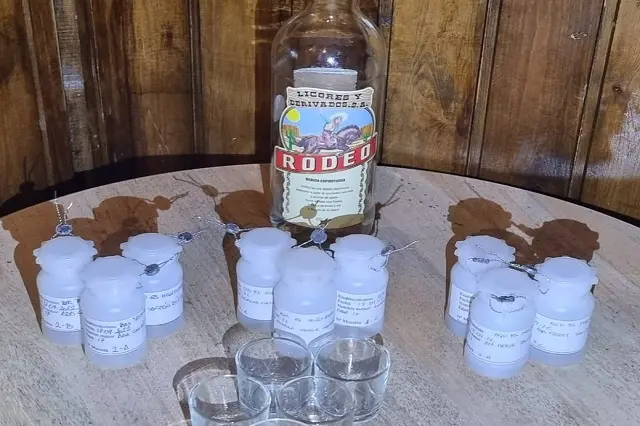 Fuente: Polic&iacute;a Municipal de Valladolid