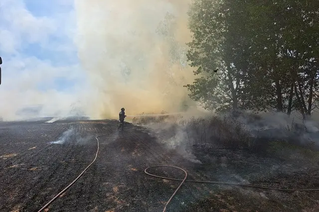 Fuente: Bomberos Diputaci&oacute;n de Valladolid