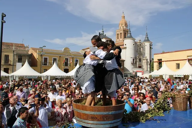 Tradicional Pisada de la Uva en la Fiesta de la Vendimia de Rueda | Valladolid Plural