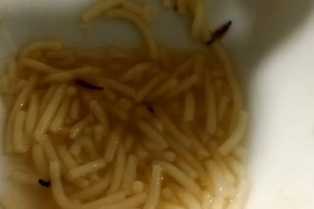 Gusanos en la sopa de men&uacute; servido en la cafeter&iacute;a del Hospital de Le&oacute;n