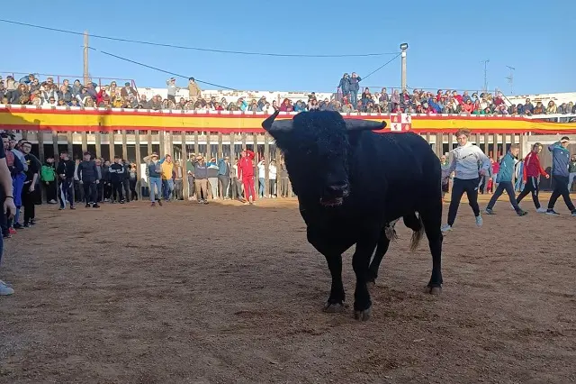Fuente: Sentir Taurino