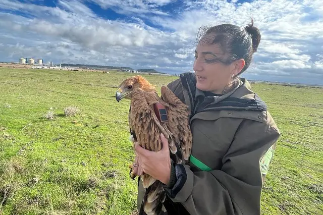 Fuente: Naturalezacyl