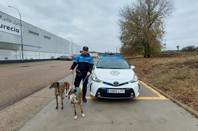Fuente: Polic&iacute;a Municipal de Valladolid