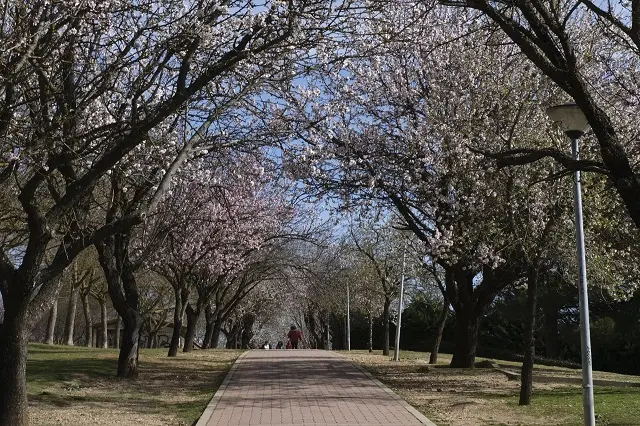 Fuente: Turismo Valladolid