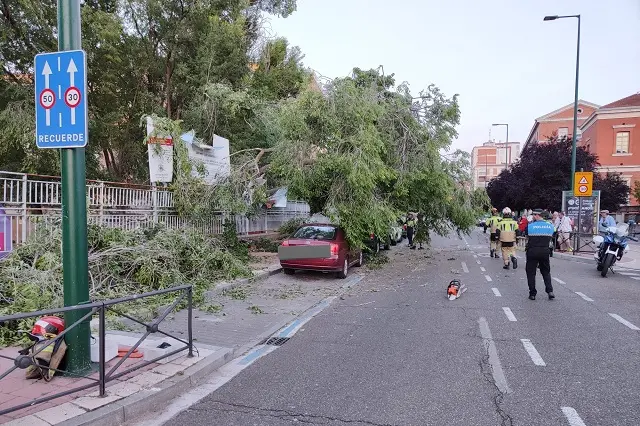 Fuente: Polic&iacute;a Municipal de Valladolid