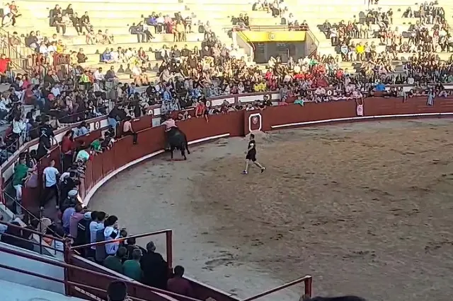 Fuente: Toros a corte limpio