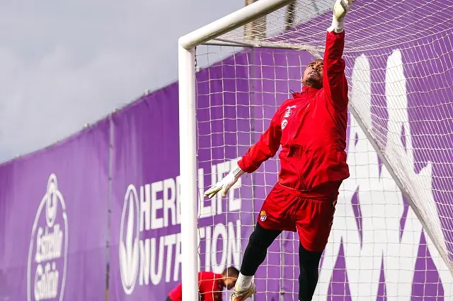 Fuente: Real Valladolid