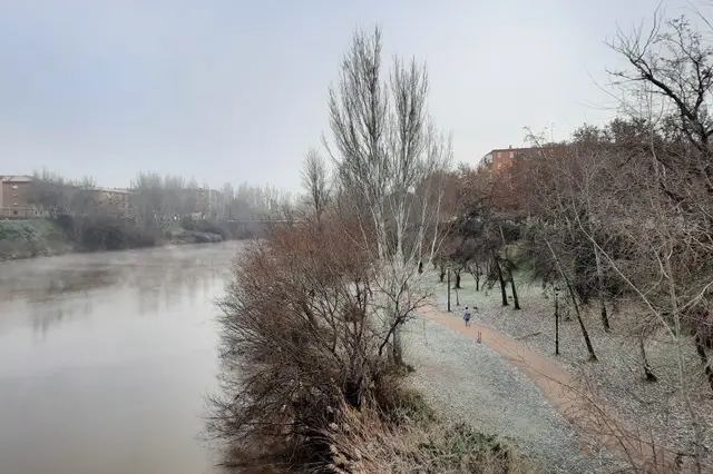 Cencellada en las orillas del r&iacute;o Pisuerga | Valladolid Plural