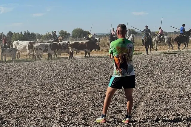 Fuente: Ayuntamiento de Aldeamayor