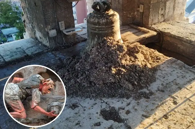 Fuente: L&eacute;zards Bleus