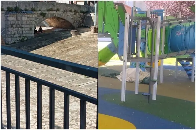 Fuente: Im&aacute;genes difundidas en redes sociales