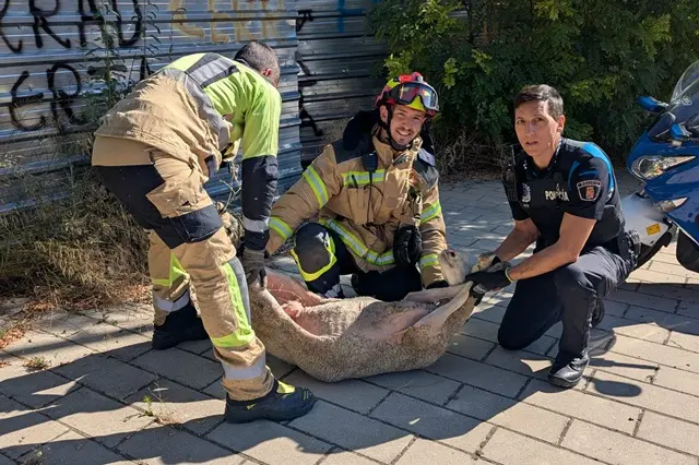 Fuente: Polic&iacute;a Municipal