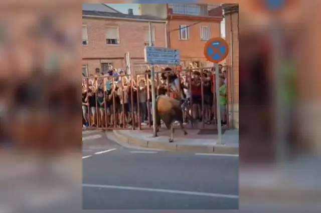 Fuente: V&iacute;deo RRSS