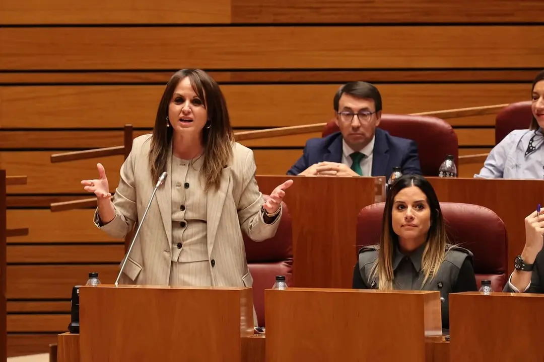 Patricia Gomez Urban procuradora PSOE Valladolid listas elecciones autonomicas