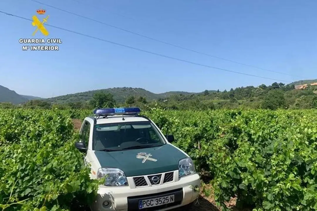 Coche Guardia Civil vinedos robos sucesos provincia Valladolid