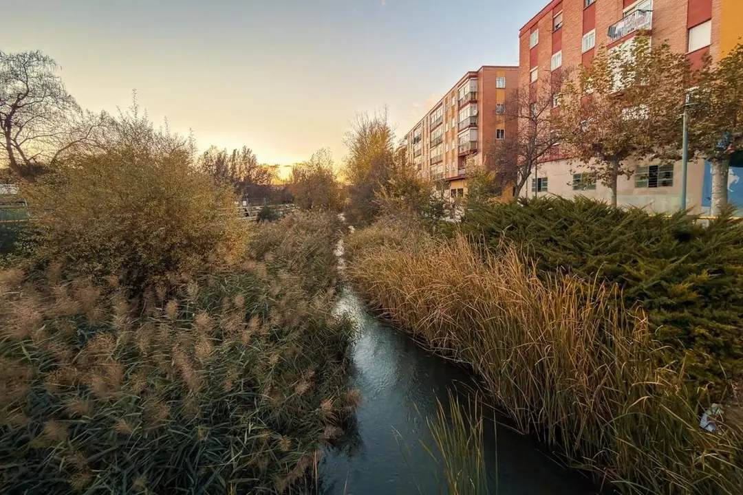 Cauce rio Esgueva Valladolid obras restauracion ambiental Aquavall